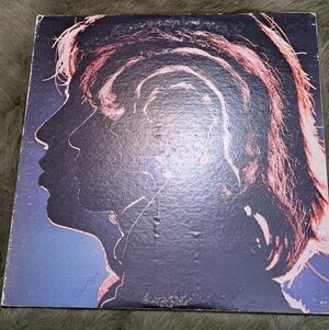 The Rolling Stones Vinyl - Hot Rocks